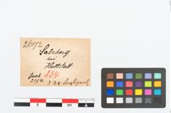 Etikett zu Bernsteinringperle (NHMW-PRAE-026172)